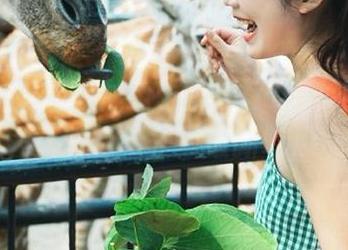 九色91吃瓜ios高速线路分享，轻松获取最新吃瓜