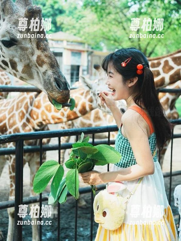 九色91吃瓜 九色91吃瓜ios高速线路分享,轻松获取最新吃瓜