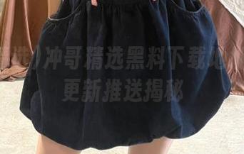 冲哥精选黑料下载地址与实时更新推送揭秘
