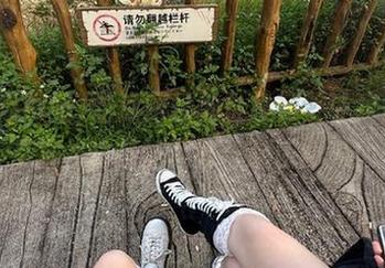 吃瓜网站地址推荐，让我们在首页共享最新趣闻与欢乐时光！