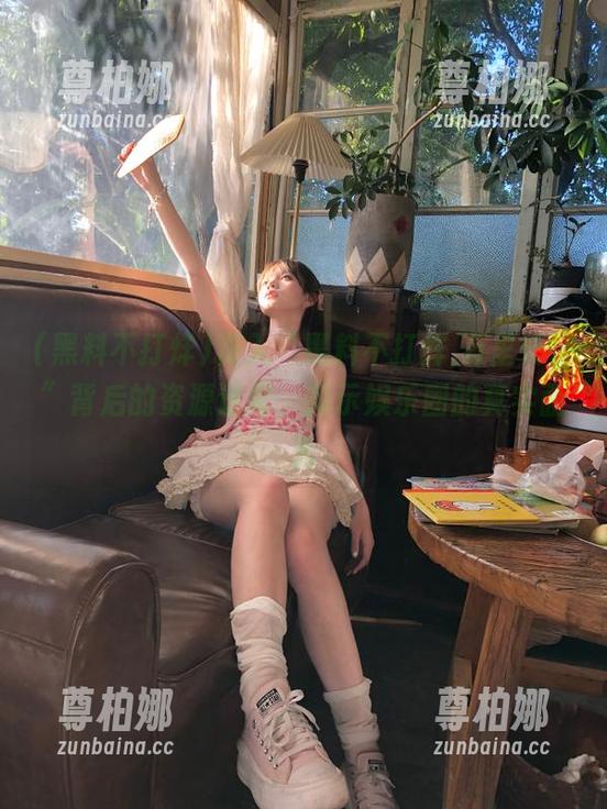 黑料不打烊 深入“黑料不打烊,万里长征”背后的资源迷雾,揭示娱乐圈的真实面孔