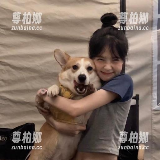 黑料不打烊 黑料不打烊91吃瓜苹果版震撼登场,网罗海量精彩黑料不停歇